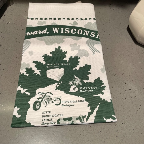 Stuffed States Wisconsin cheese and Wisconsin tea towel - Picture 9 of 11